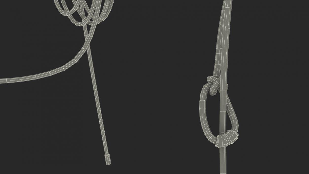 Natural Western Lasso Rope Catching Position 3D model