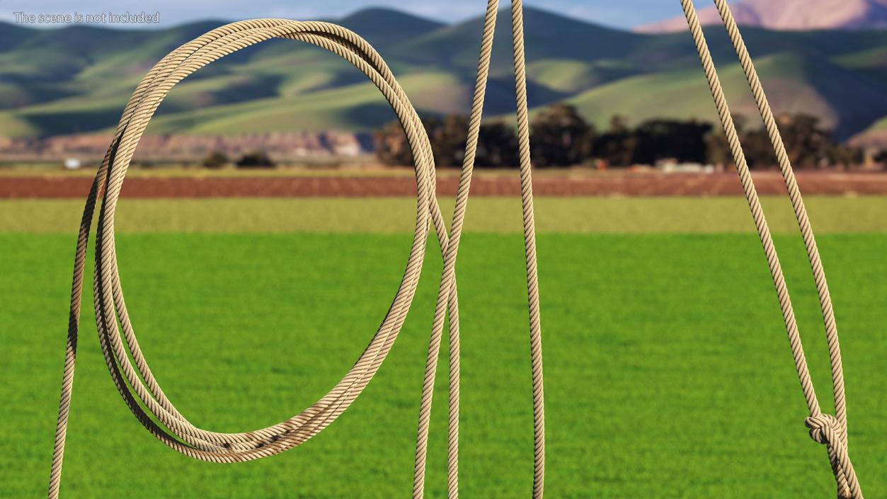 Natural Western Lasso Rope Catching Position 3D model