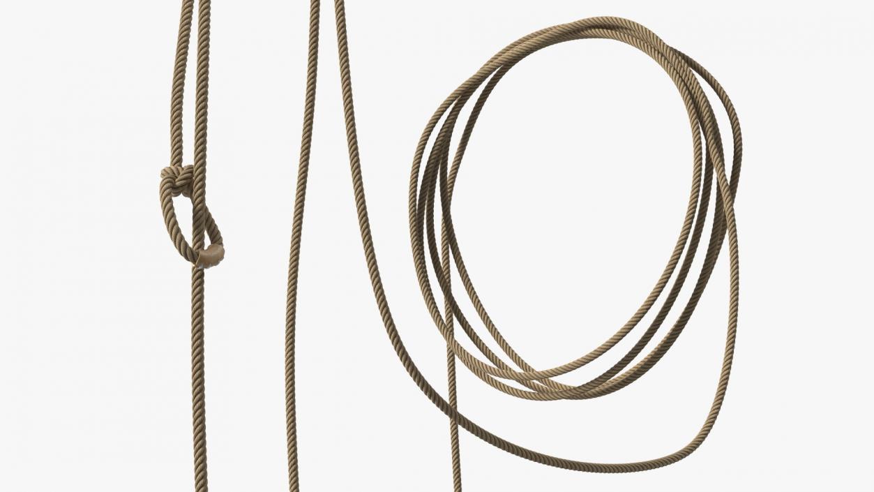 Natural Western Lasso Rope Catching Position 3D model