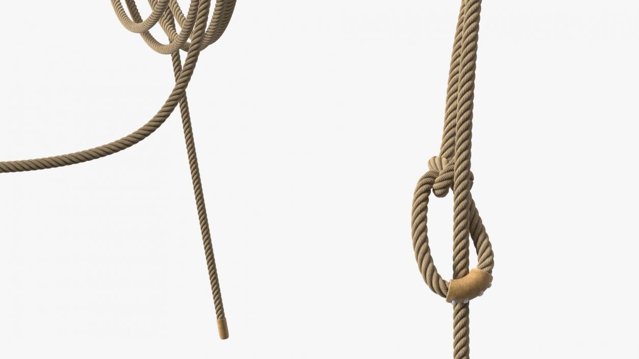 Natural Western Lasso Rope Catching Position 3D model