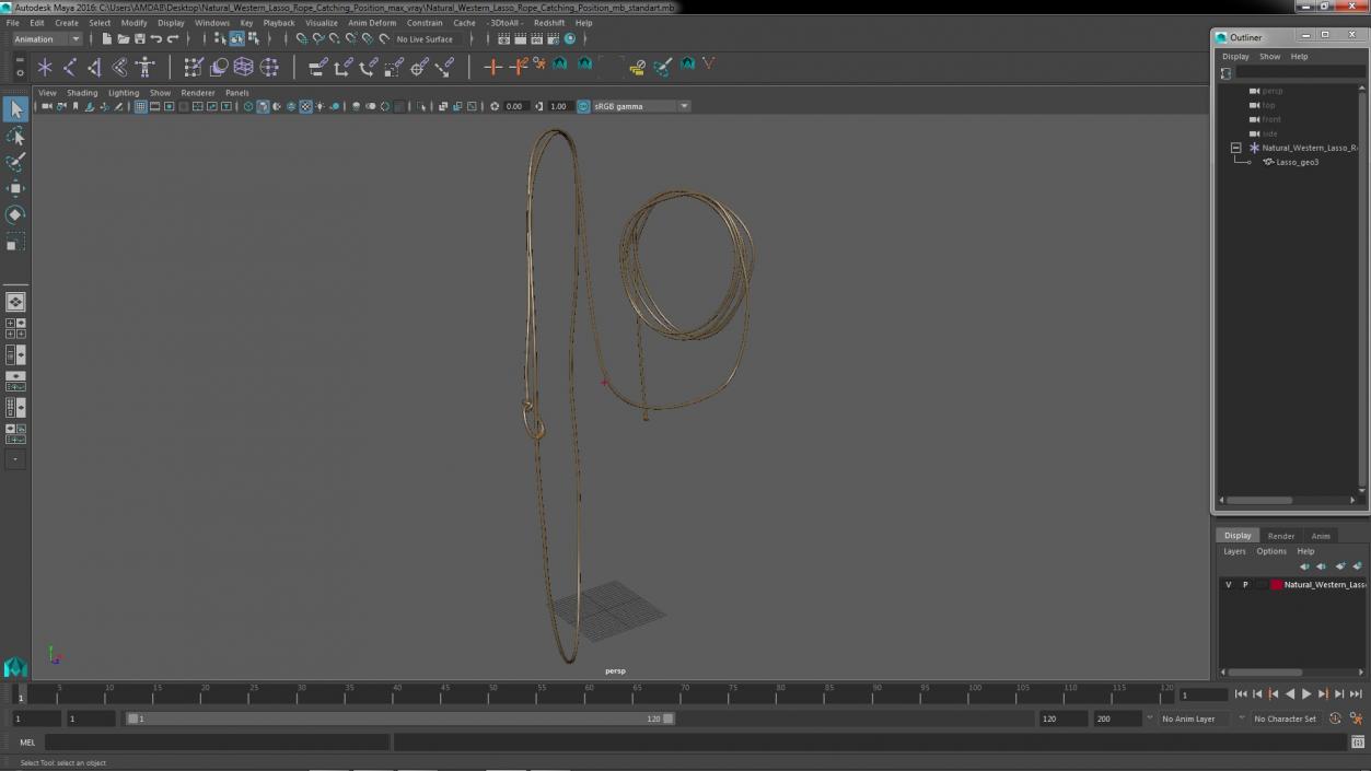 Natural Western Lasso Rope Catching Position 3D model
