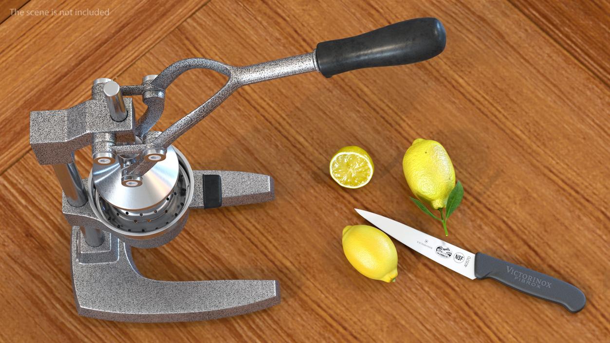 Citrus Juicer Hand Press 3D model