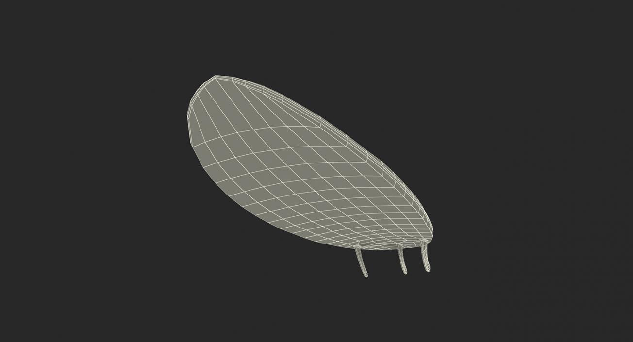 3D Surfboards Collection 6 model