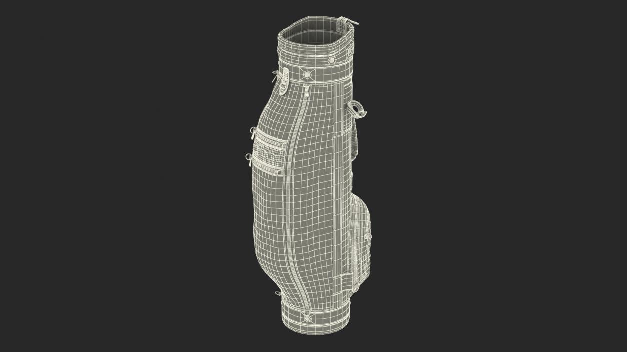 3D model Golf Bag 3