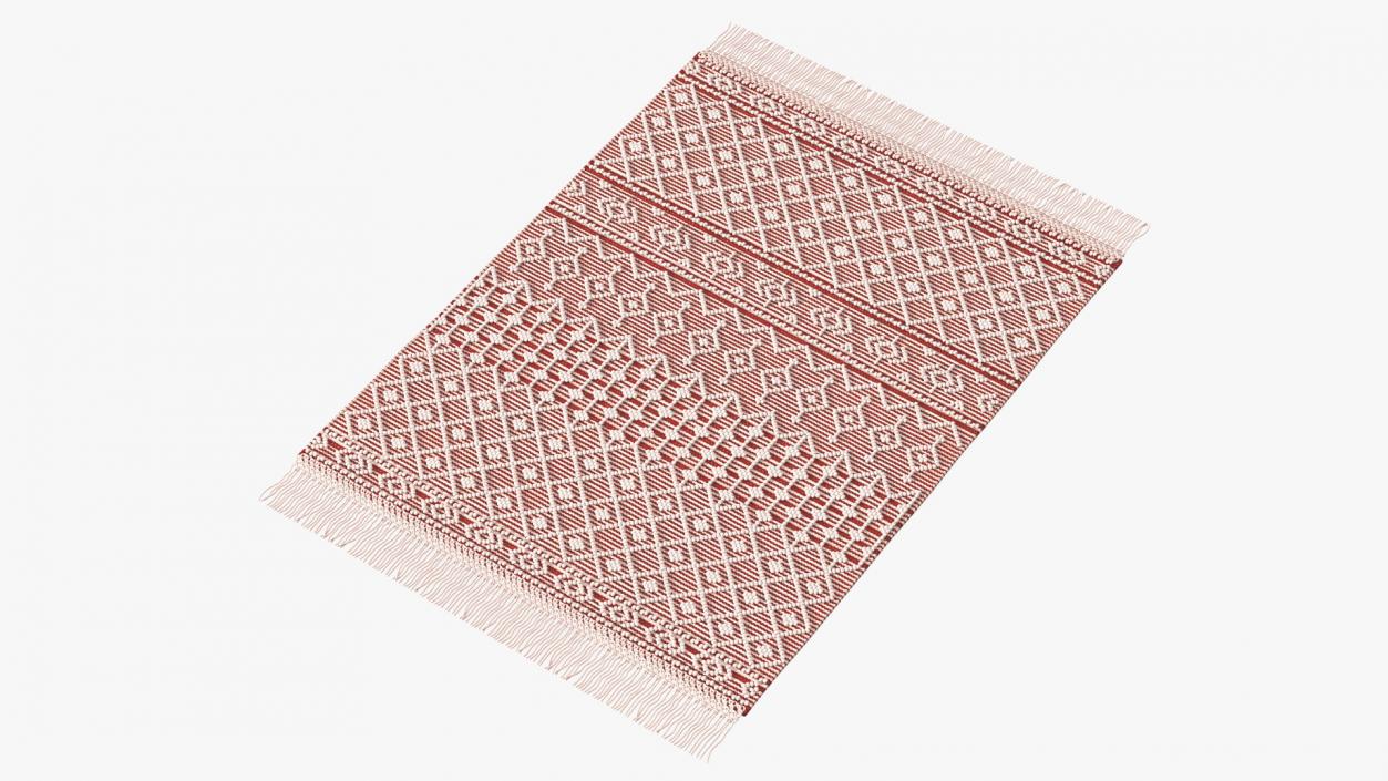 Modern Wool Rug Red 3D model