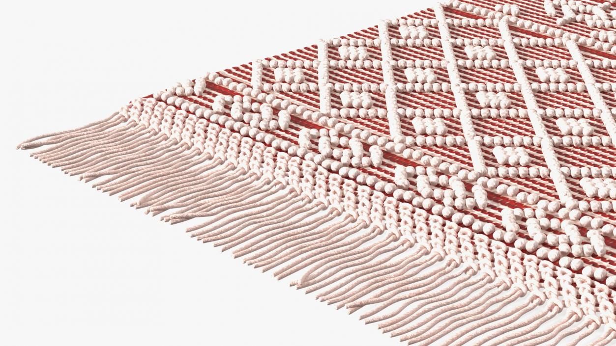 Modern Wool Rug Red 3D model