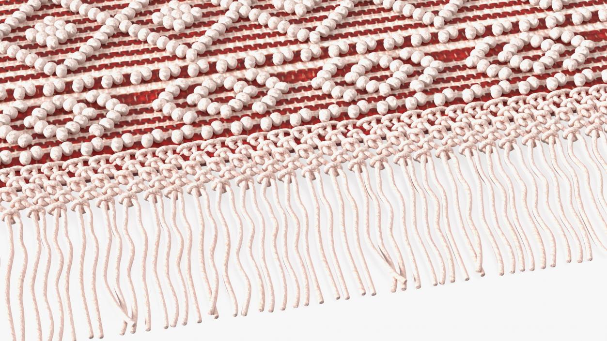 Modern Wool Rug Red 3D model