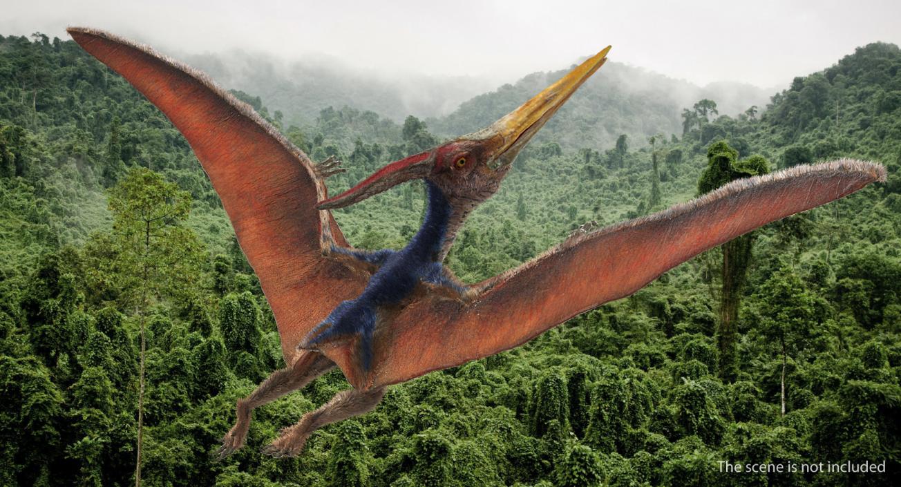 3D Pteranodon Flying Pose with Fur