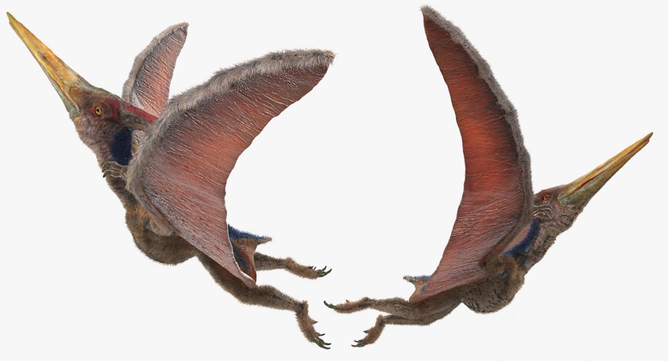 3D Pteranodon Flying Pose with Fur