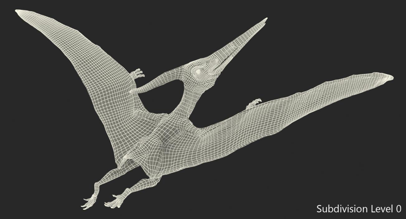 3D Pteranodon Flying Pose with Fur