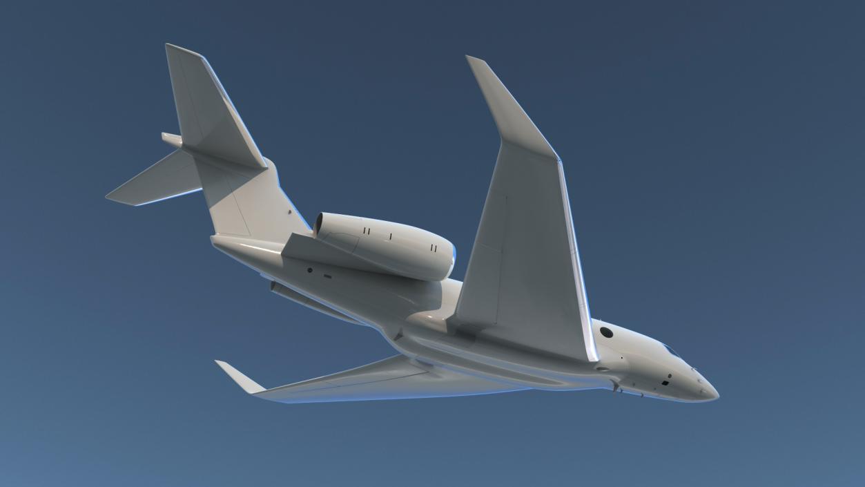 3D Twin Engine Business Jet Flight