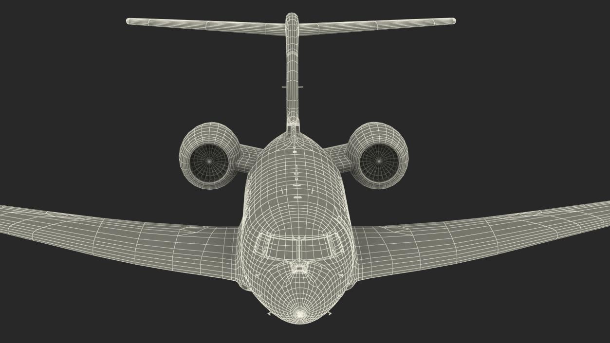 3D Twin Engine Business Jet Flight