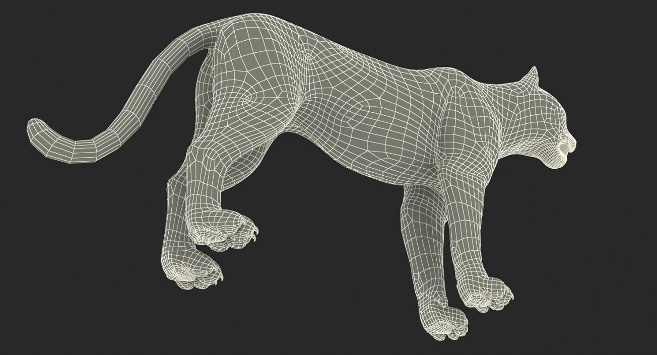 Snow Leopard 3D