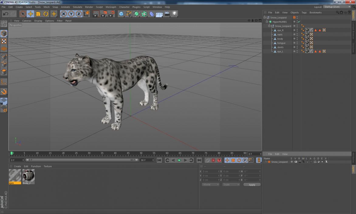 Snow Leopard 3D