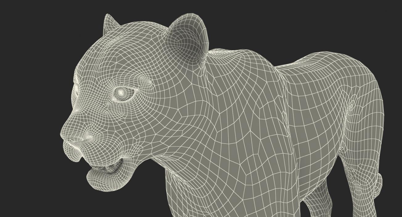 Snow Leopard 3D