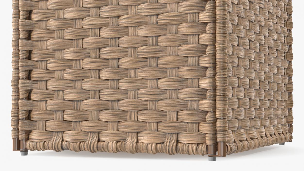 Wicker Laundry Basket Beige 3D