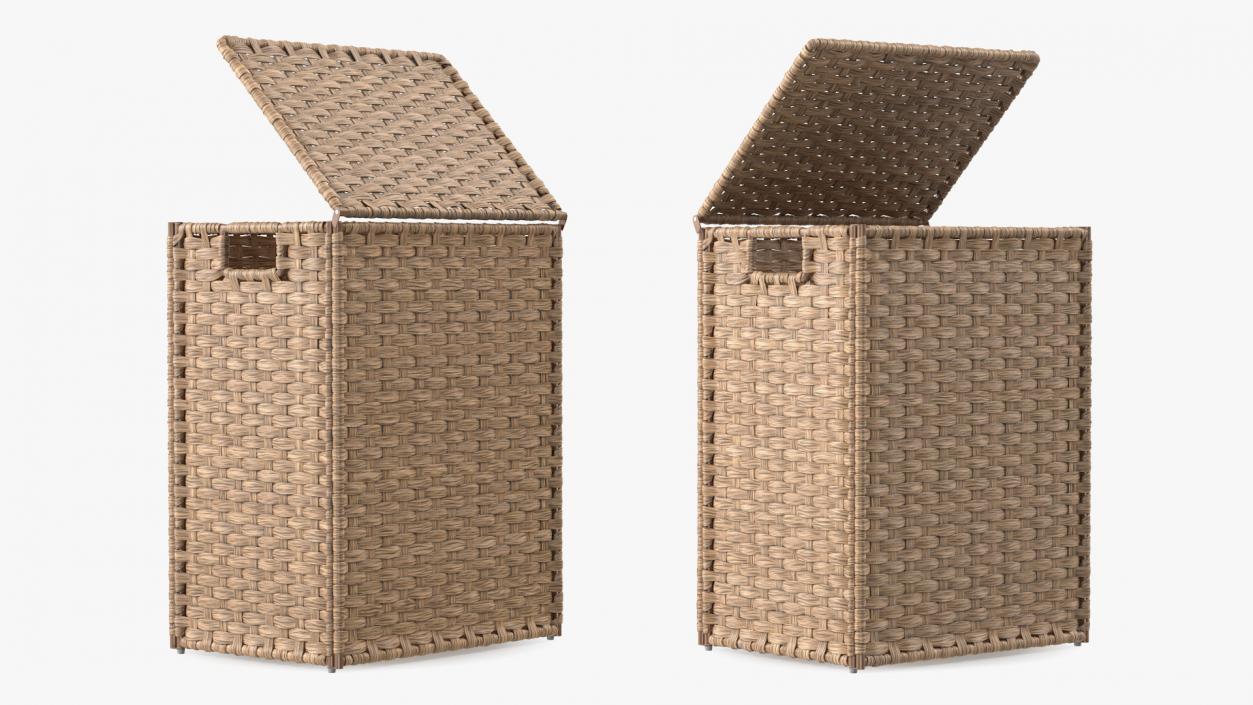 Wicker Laundry Basket Beige 3D