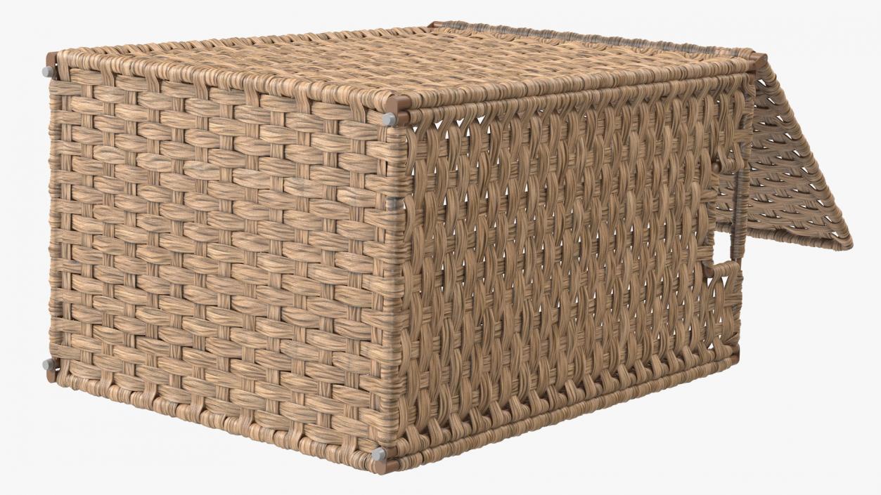 Wicker Laundry Basket Beige 3D