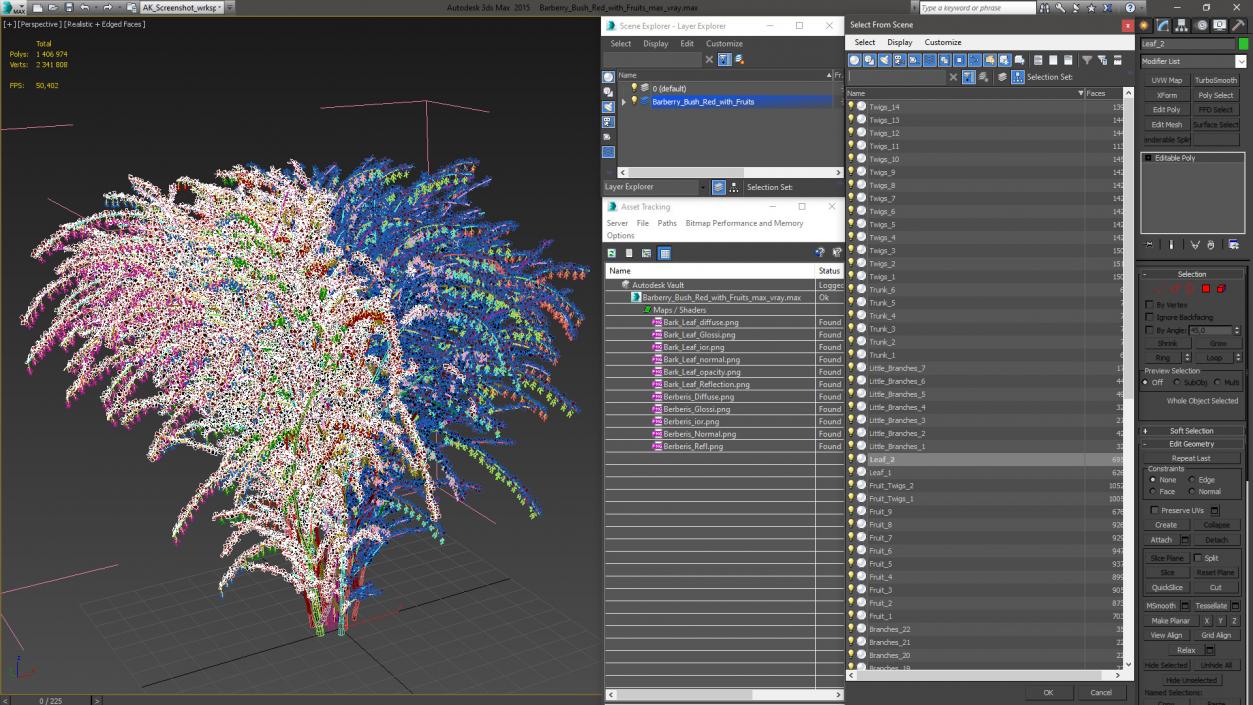 Barberry Bush Red with Fruits 3D model