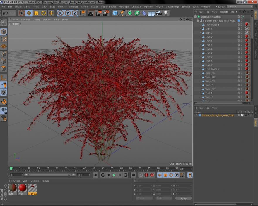 Barberry Bush Red with Fruits 3D model
