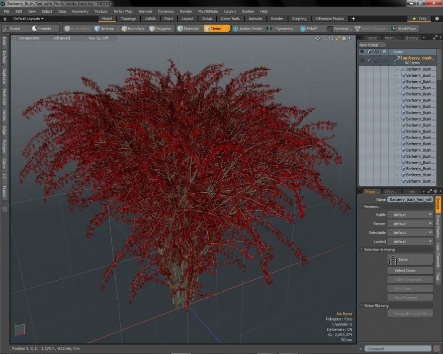 Barberry Bush Red with Fruits 3D model