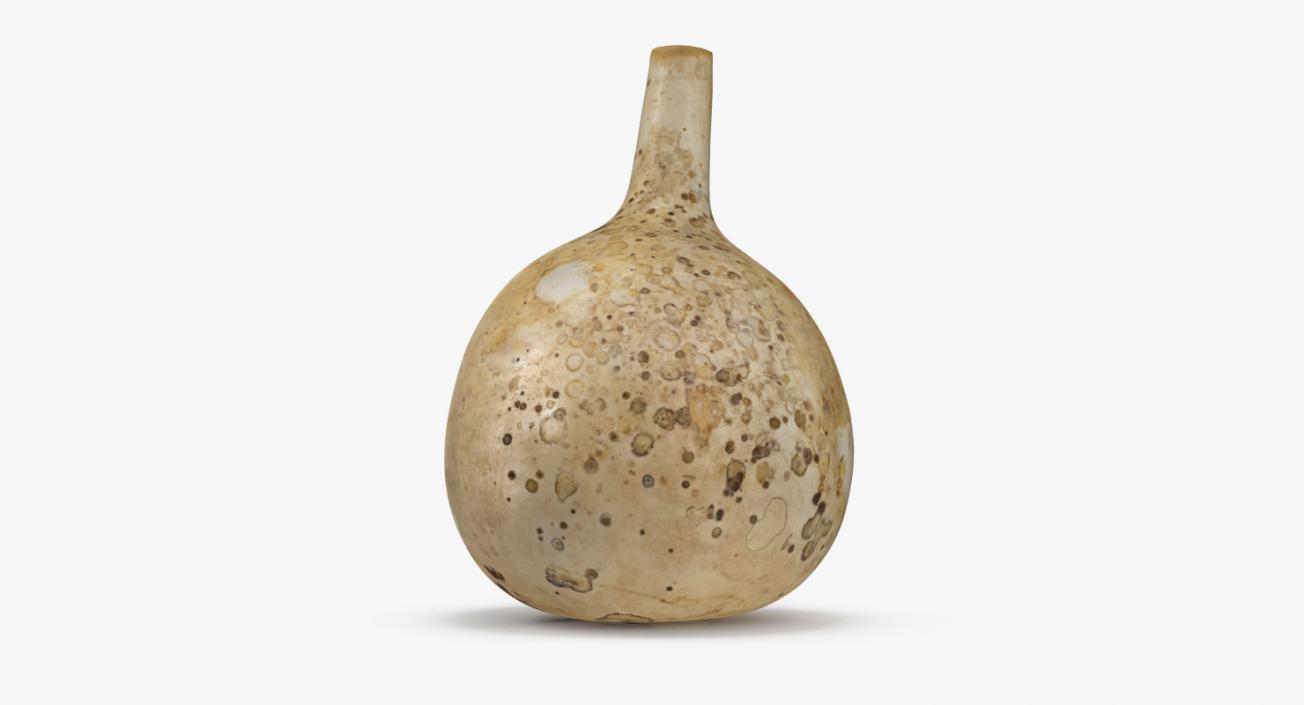 3D Gourd Flask