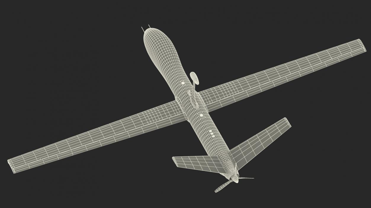 Multi Payload UAV Flight 3D model