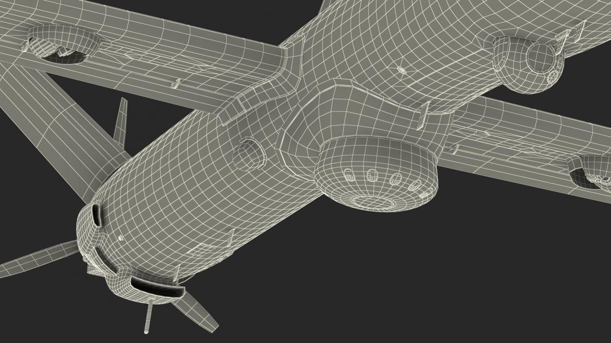 Multi Payload UAV Flight 3D model