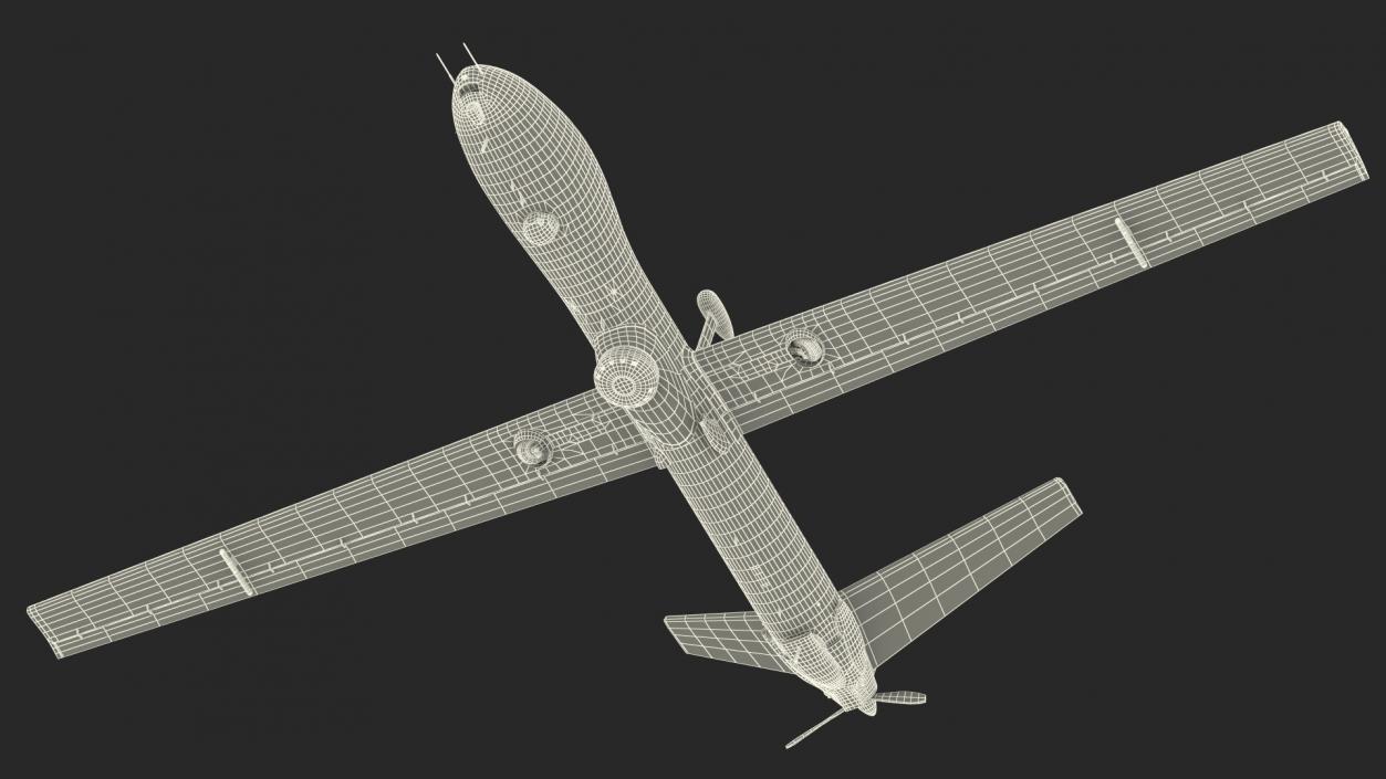 Multi Payload UAV Flight 3D model