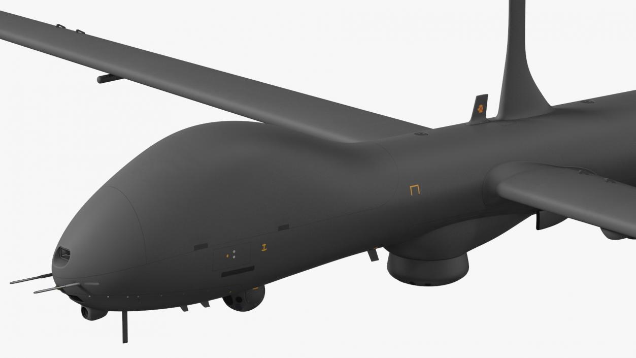 Multi Payload UAV Flight 3D model