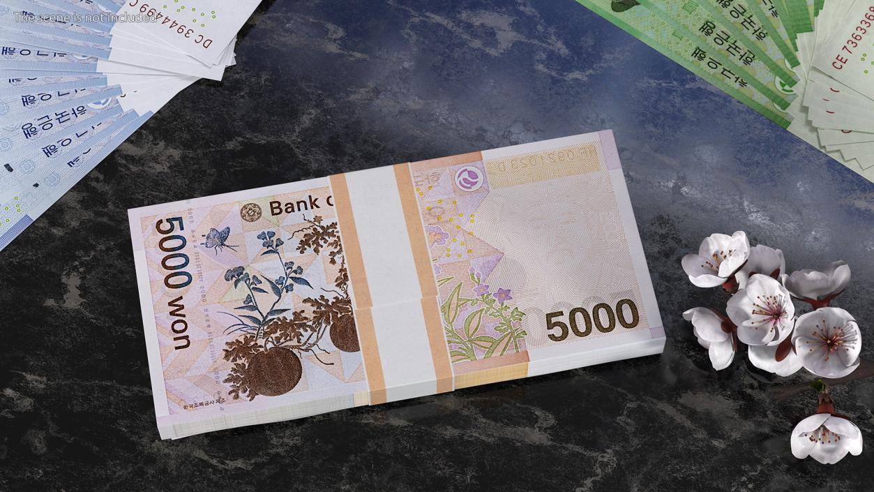 3D South Korean 5000 Won Banknotes Bundle model