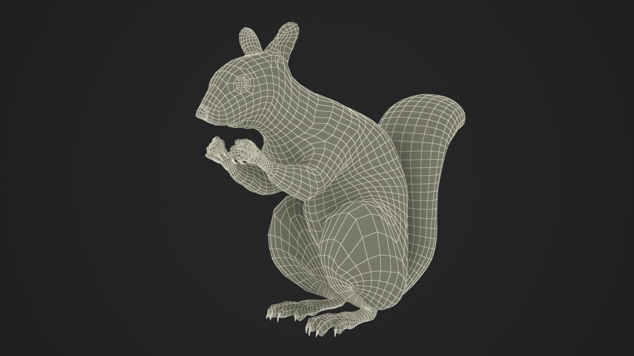 3D Gray Squirrel in a Sitting Pose 2 model