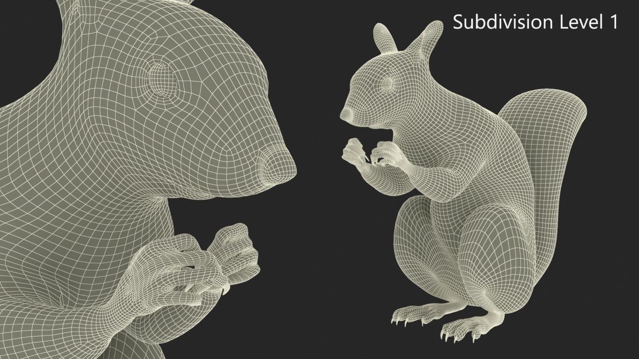 3D Gray Squirrel in a Sitting Pose 2 model