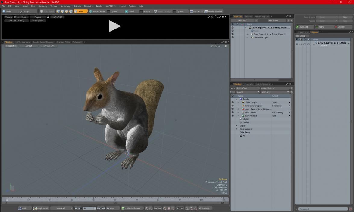 3D Gray Squirrel in a Sitting Pose 2 model