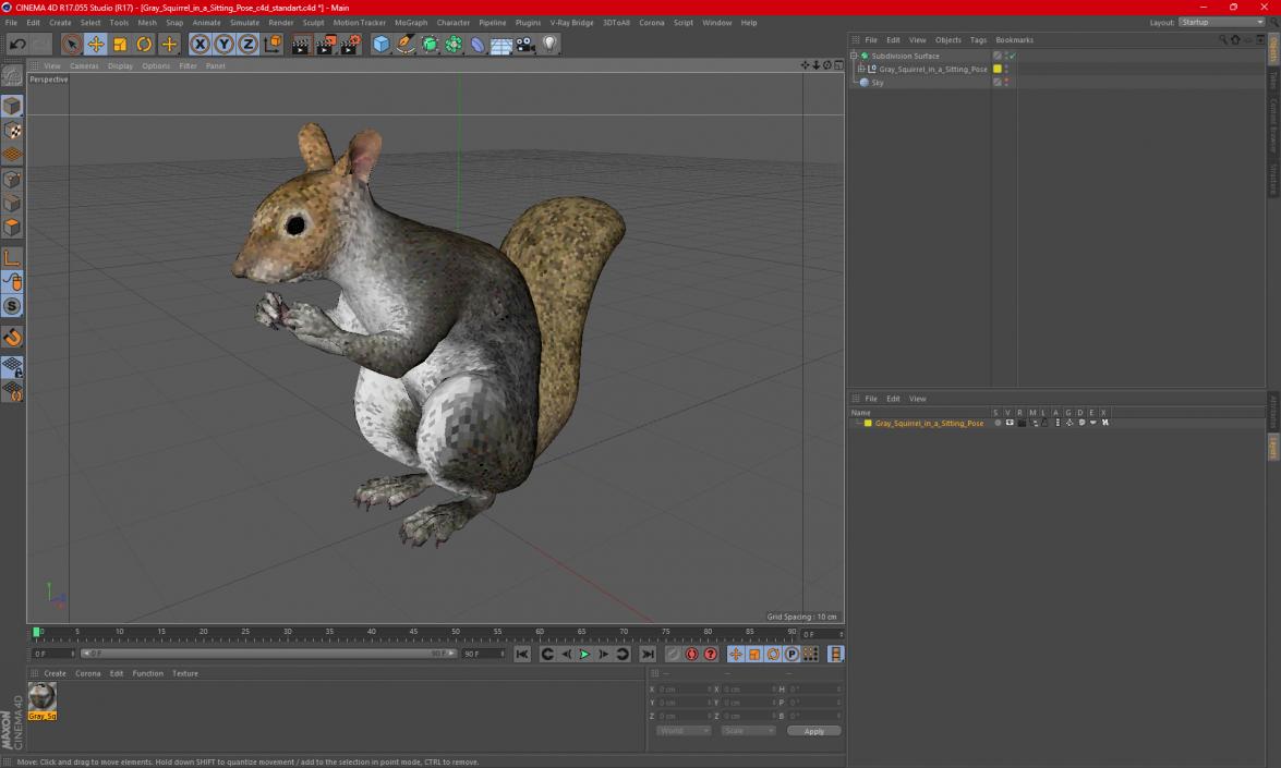 3D Gray Squirrel in a Sitting Pose 2 model