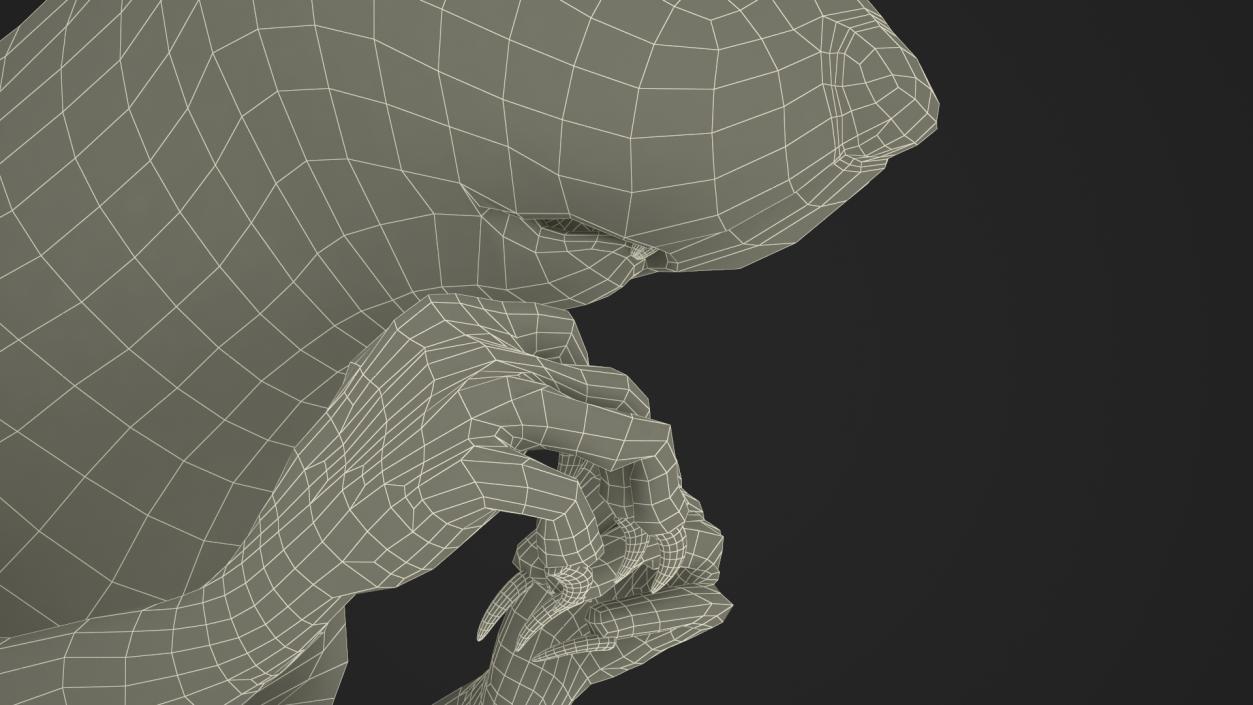 3D Gray Squirrel in a Sitting Pose 2 model