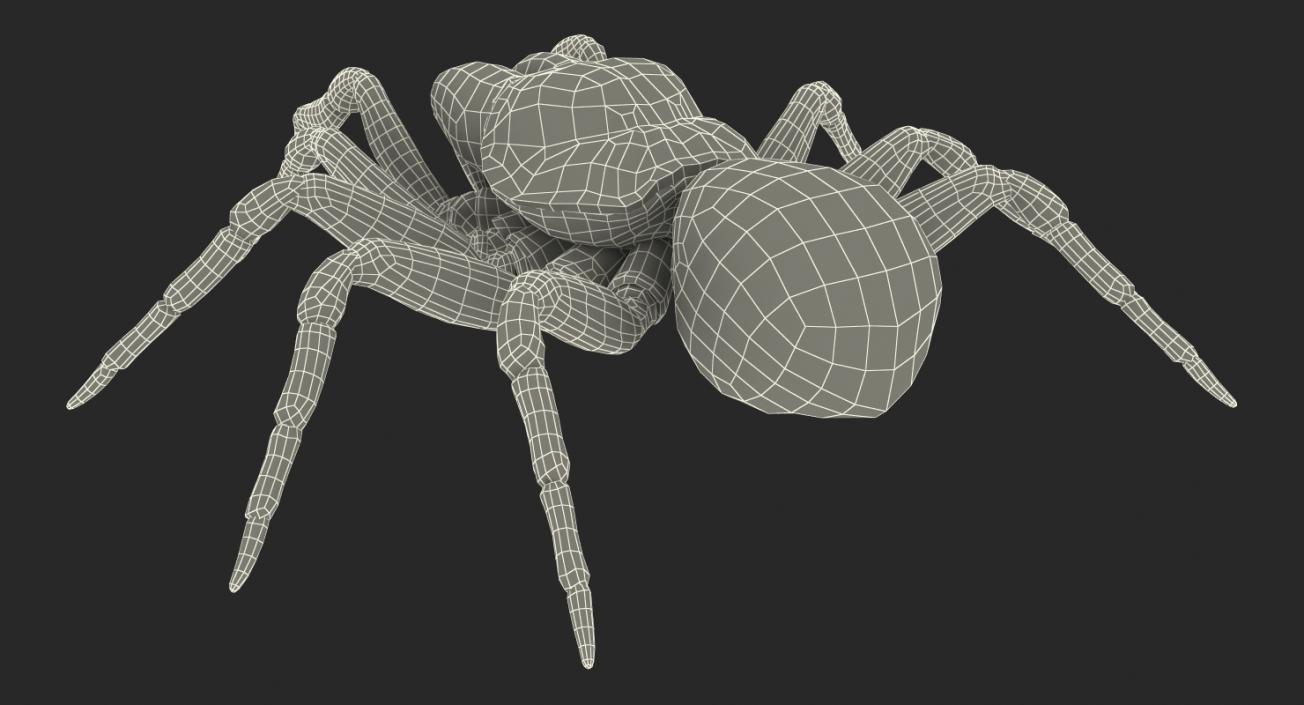 3D Mouse Spider Rigged with Fur model