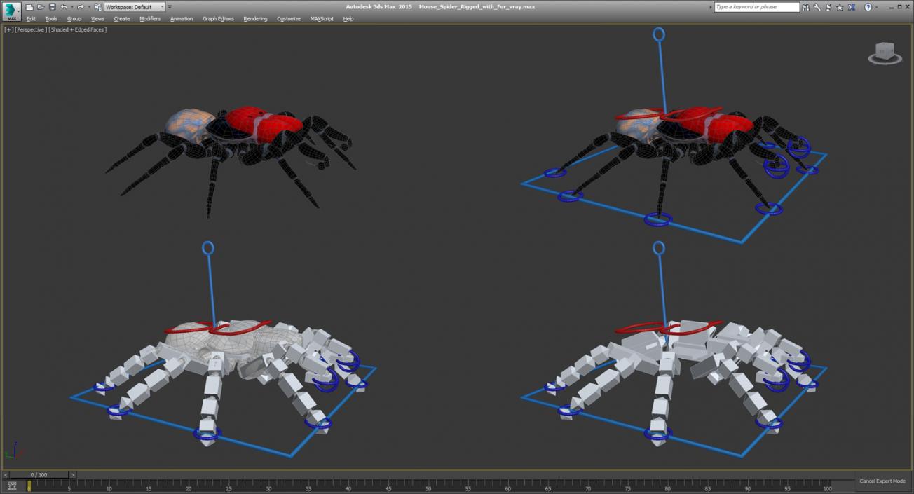 3D Mouse Spider Rigged with Fur model