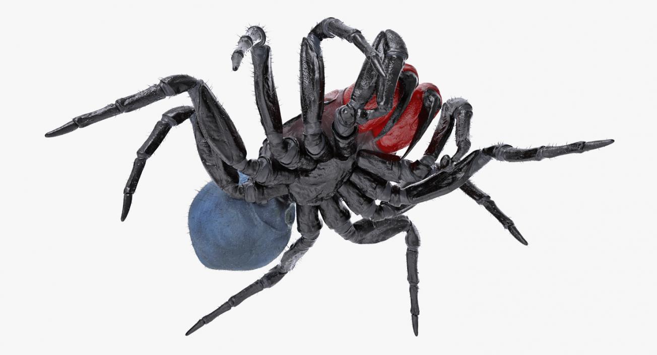 3D Mouse Spider Rigged with Fur model