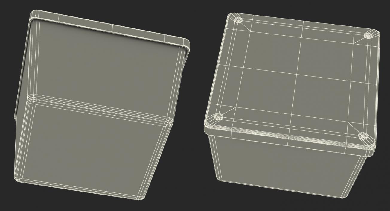 Empty Square Plastic Box 3D model