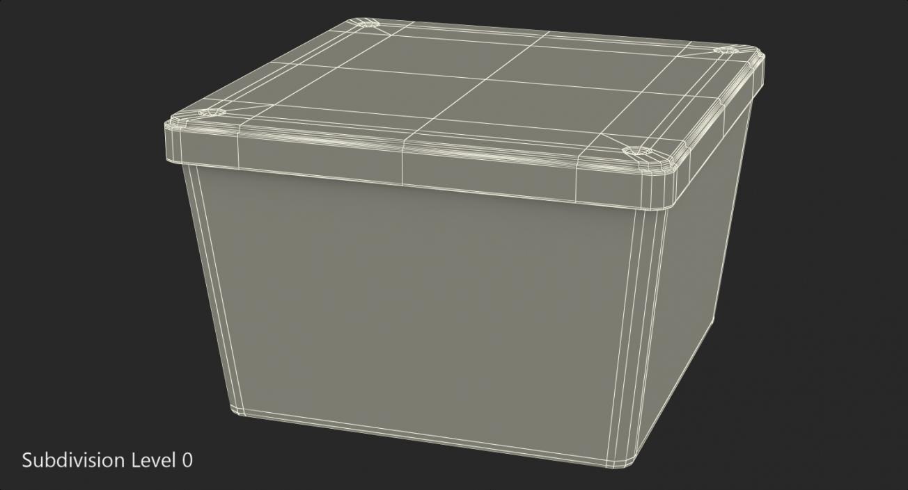 Empty Square Plastic Box 3D model