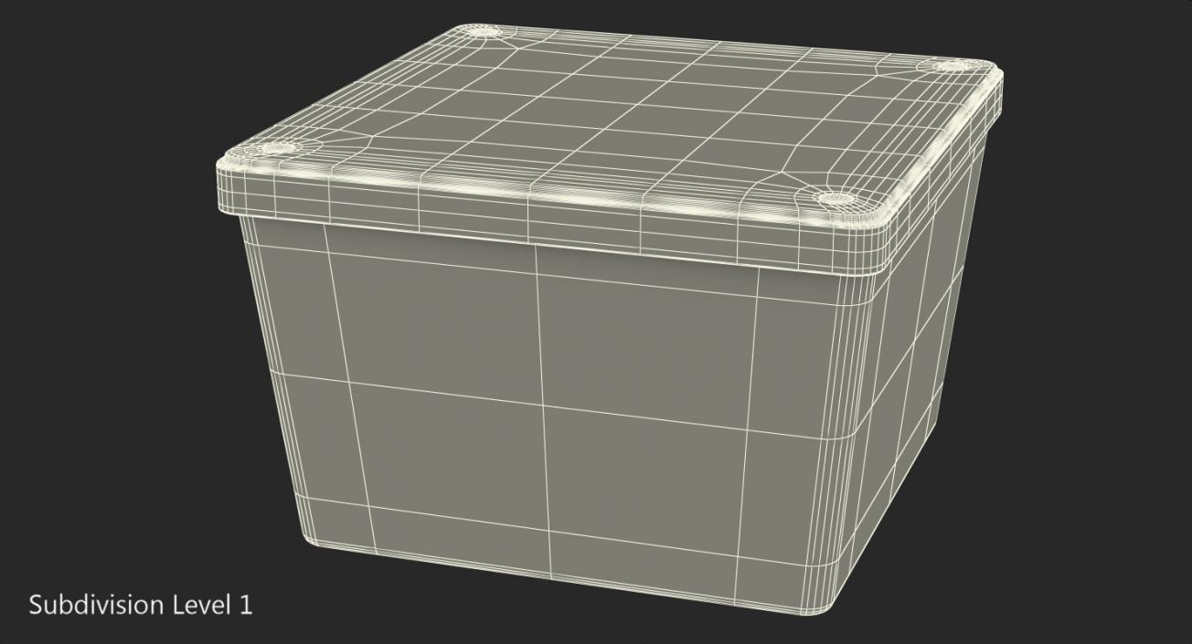 Empty Square Plastic Box 3D model