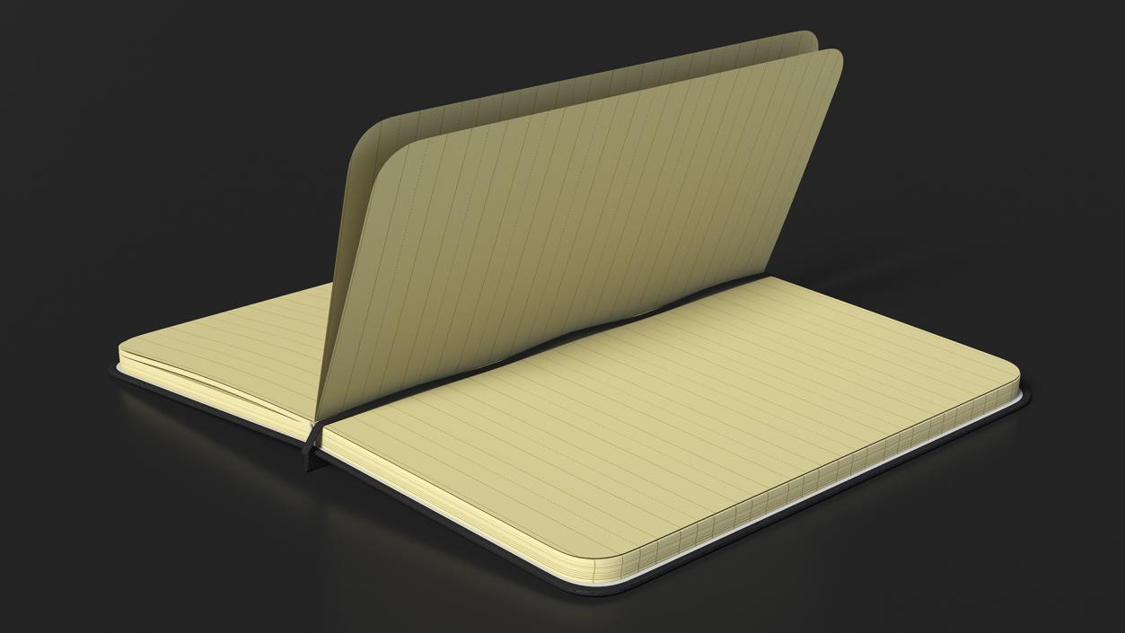 Open Lined Notebook 3D model