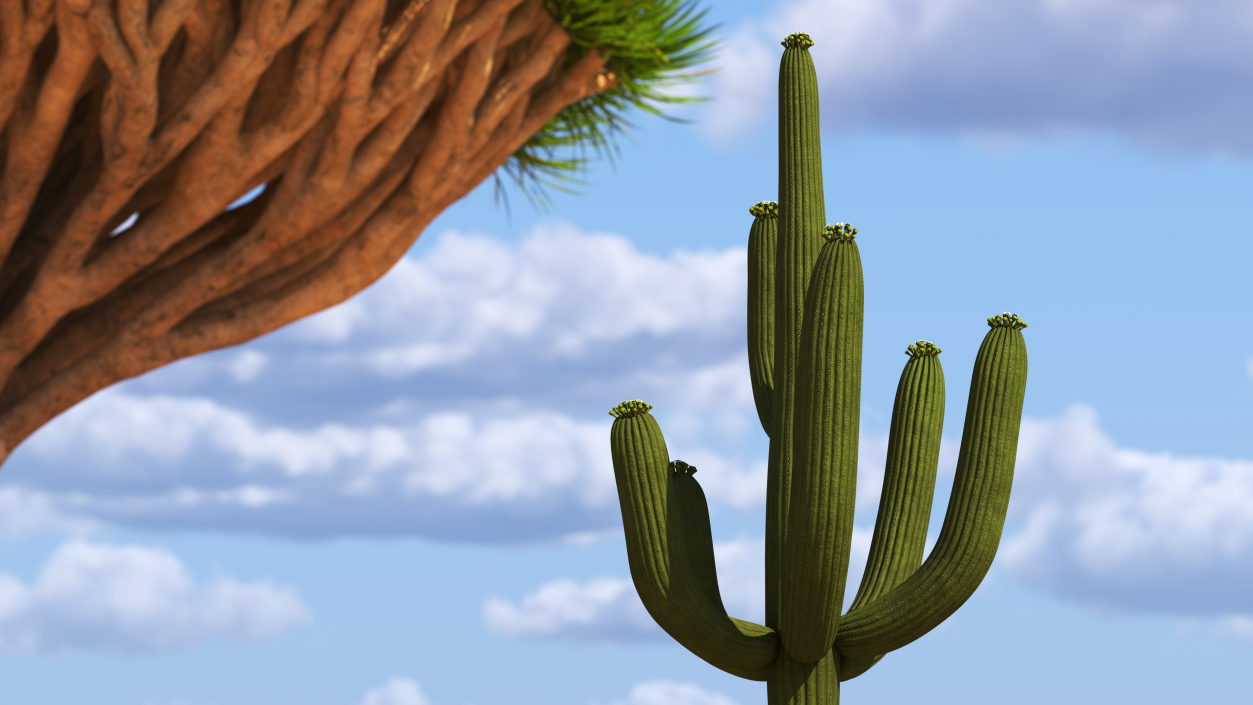 3D model Giant Saguaro Cactus