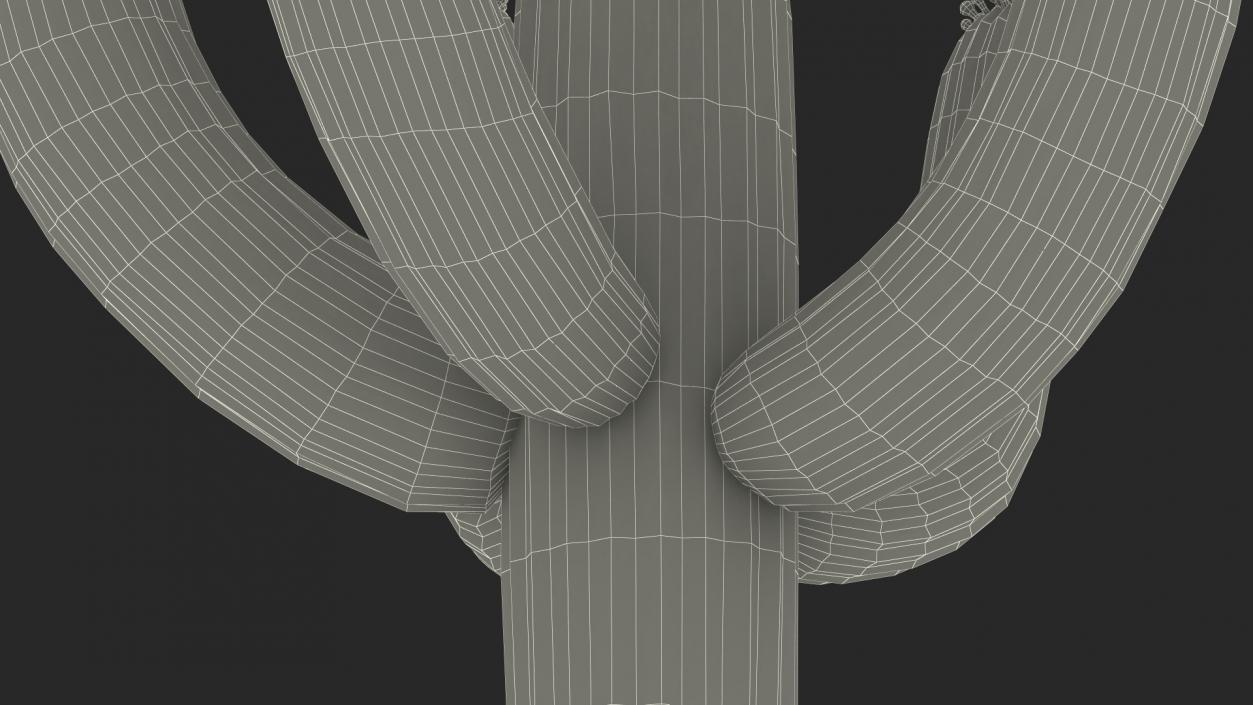 3D model Giant Saguaro Cactus