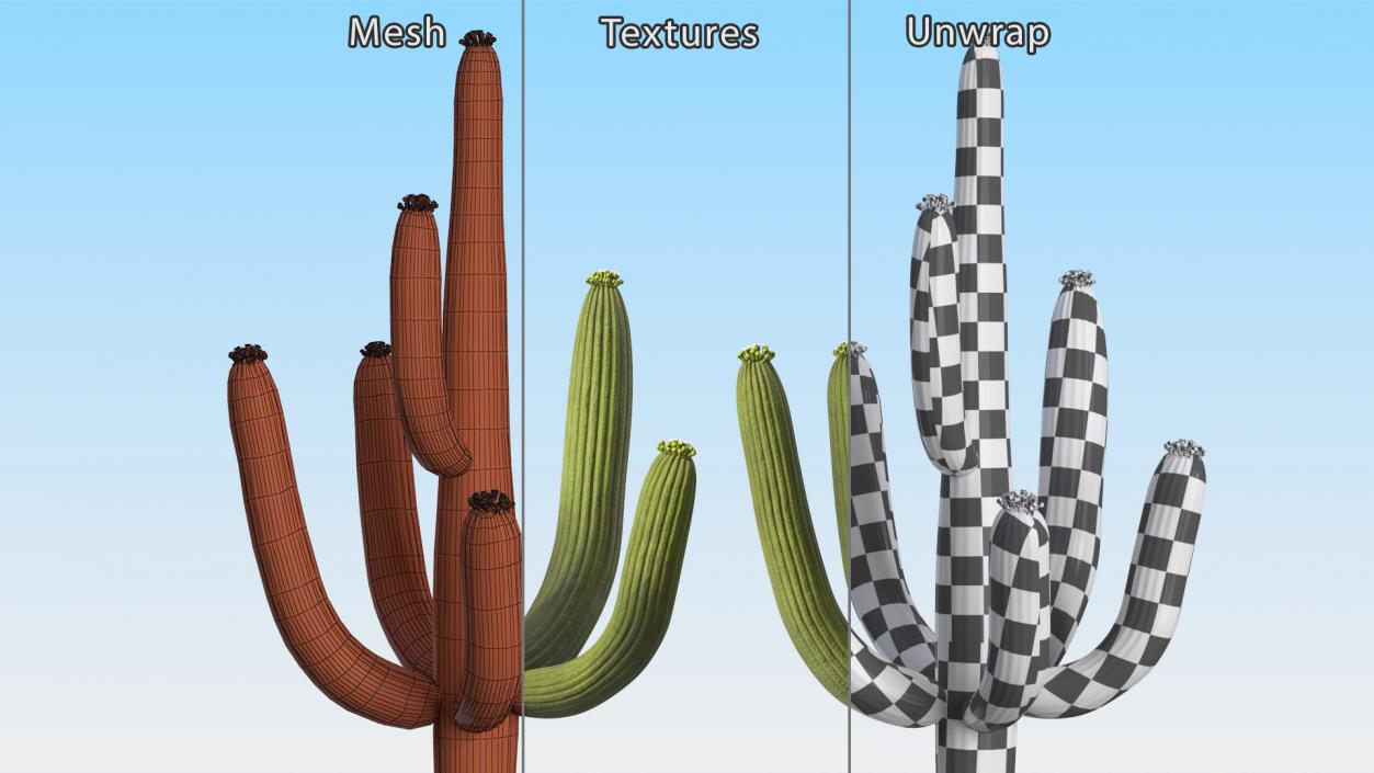 3D model Giant Saguaro Cactus