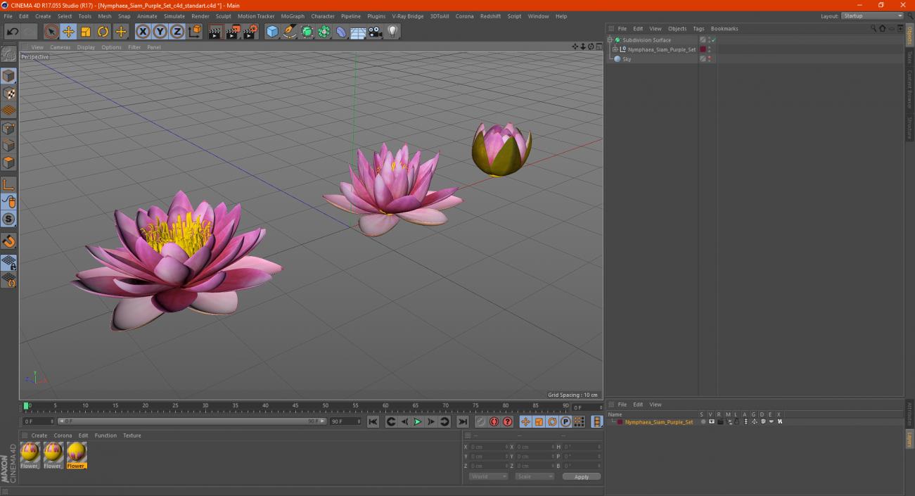 Nymphaea Siam Purple Set 3D model