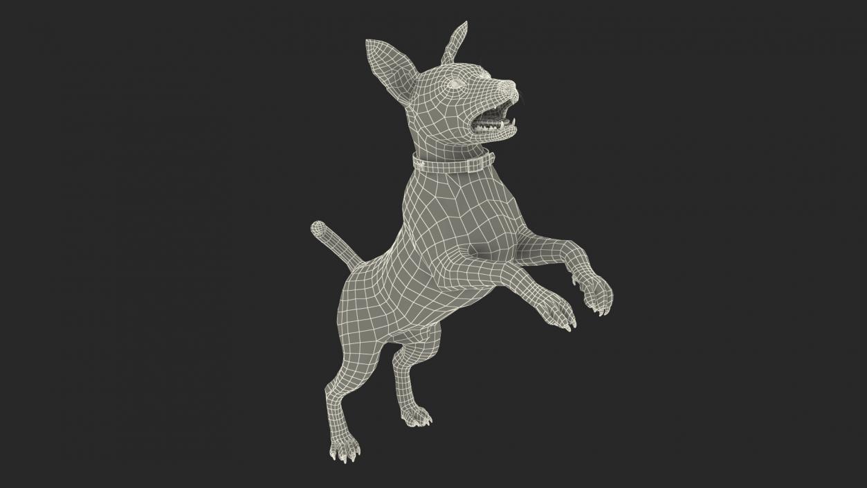 3D Jack Russell Terrier White Rigged model