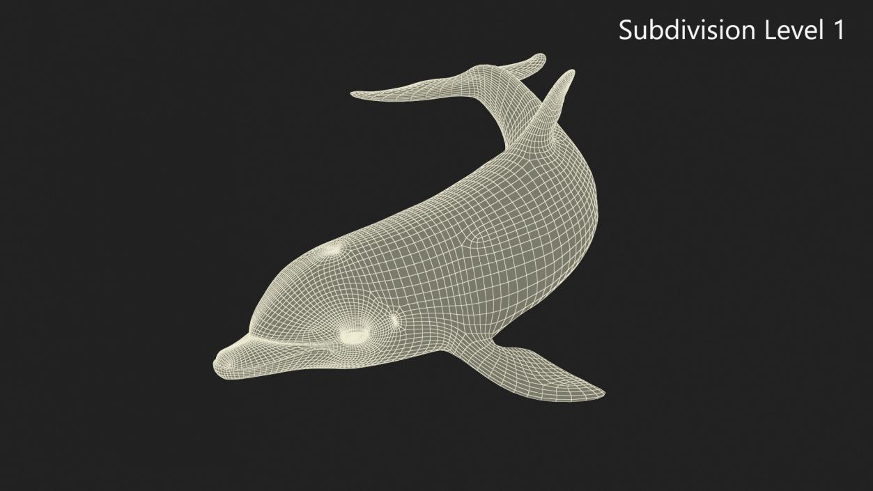 3D Realistic Bottlenose Dolphin Turn model