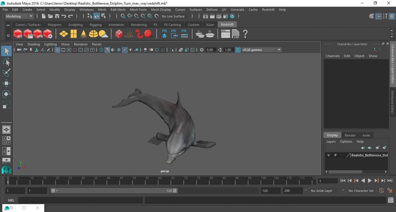 3D Realistic Bottlenose Dolphin Turn model